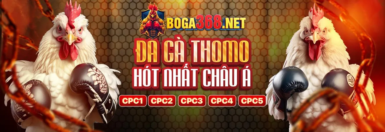 Giao diện Baccarat trực tuyến với dealer người thật tại nhatvip win